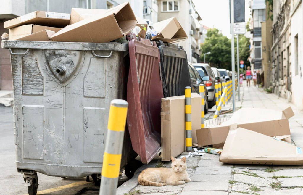 Dumpster Enclosure Cleanup Service in Modesto